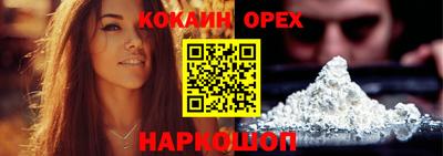 мет Кингисепп